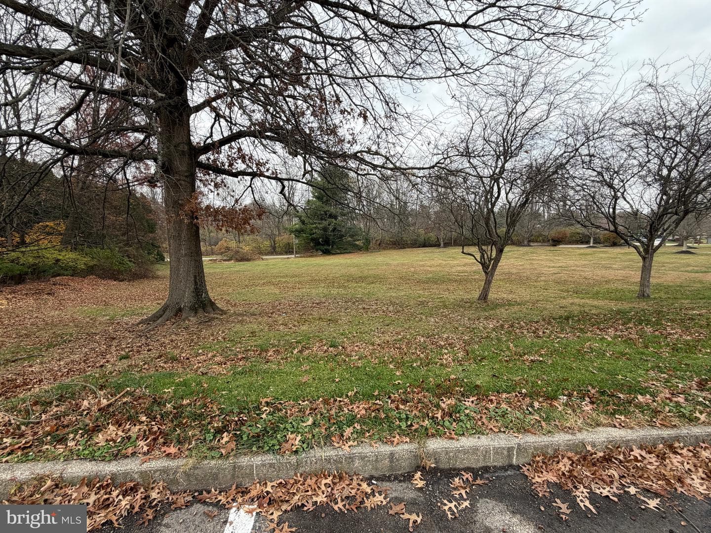 1518 Manley Road #b20 photo 28
