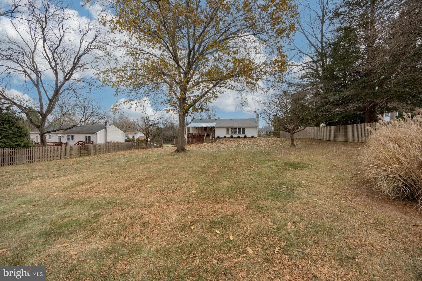 479 Douglas Drive photo 6