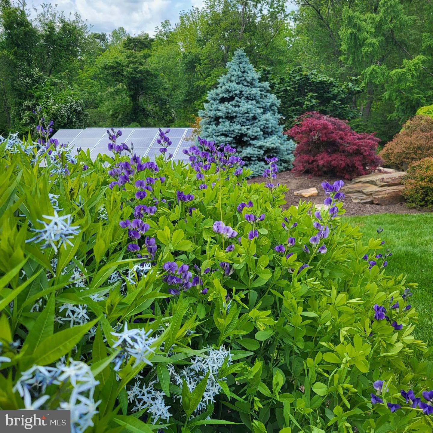 315 Martingale Circle photo 65