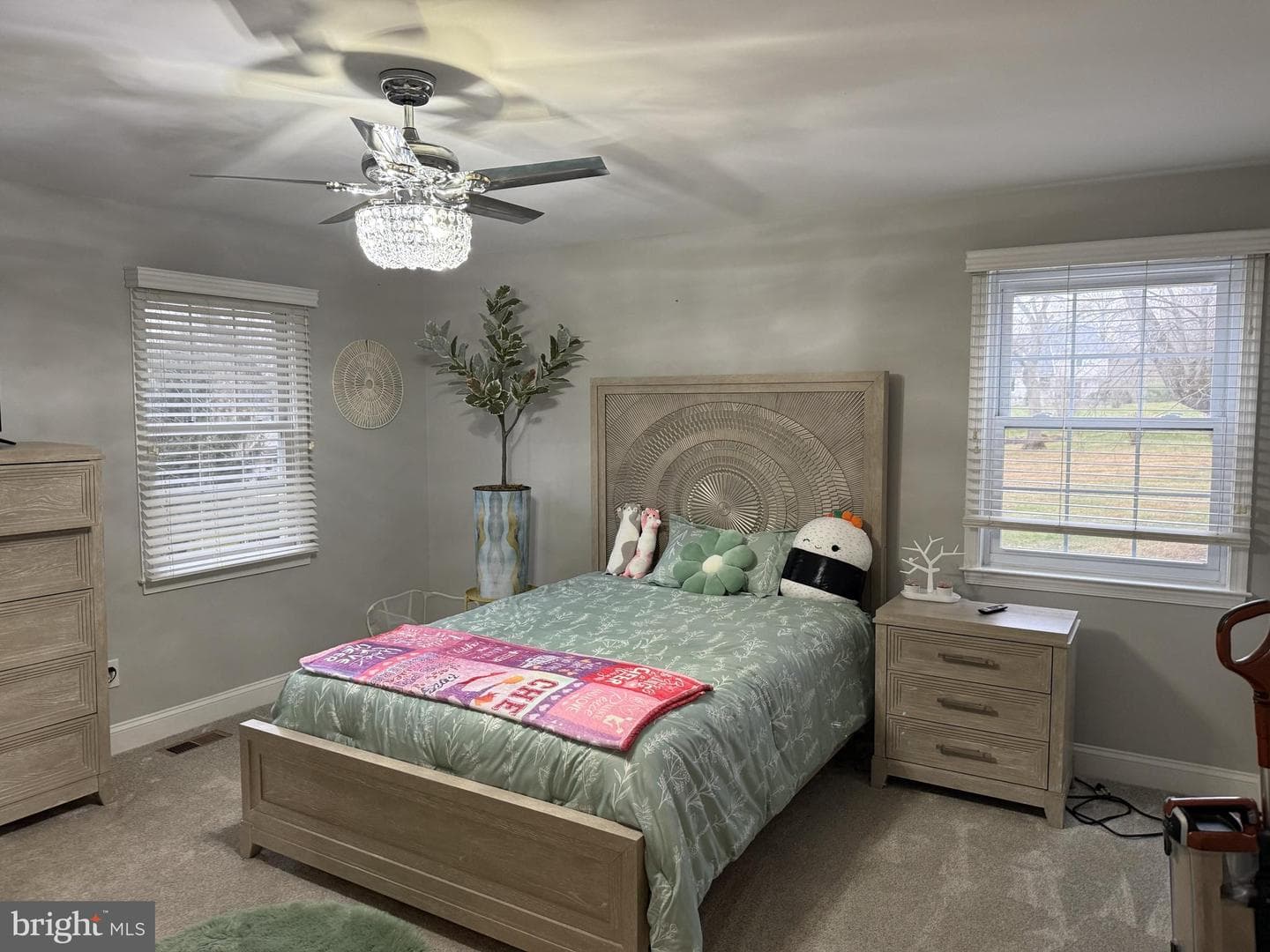 239 Heather Ridge Circle photo 21