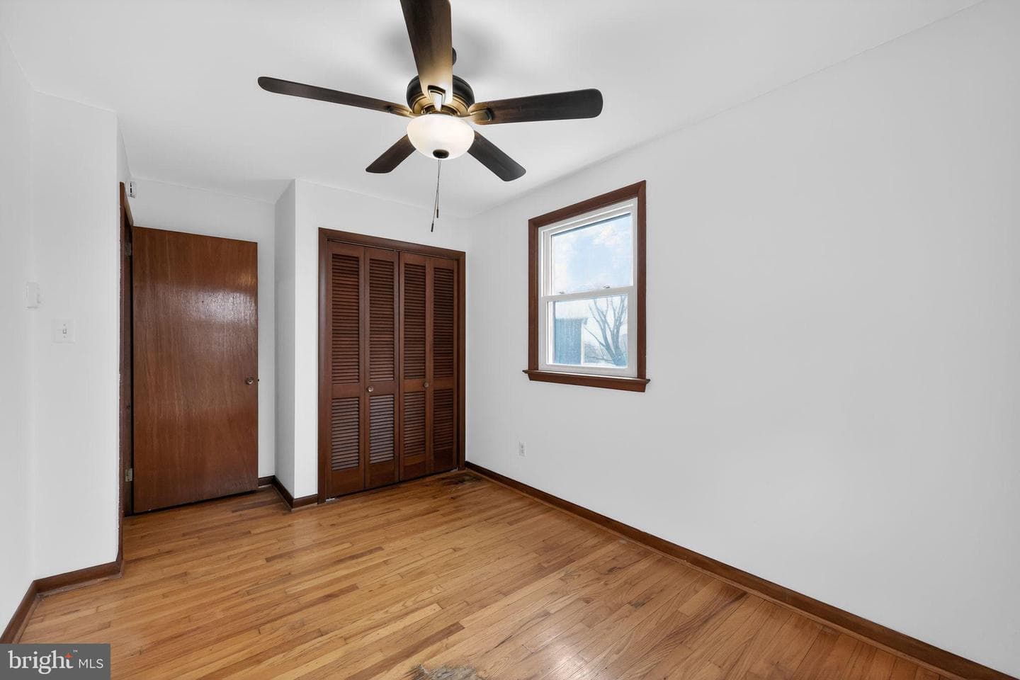 54 Hannum Drive photo 22