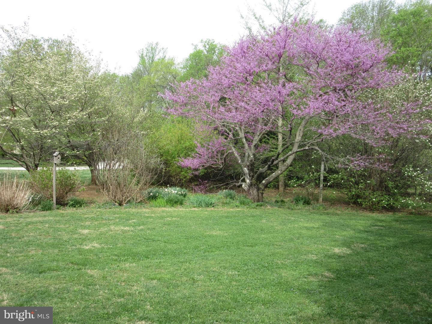 12 Phillips Lane photo 44