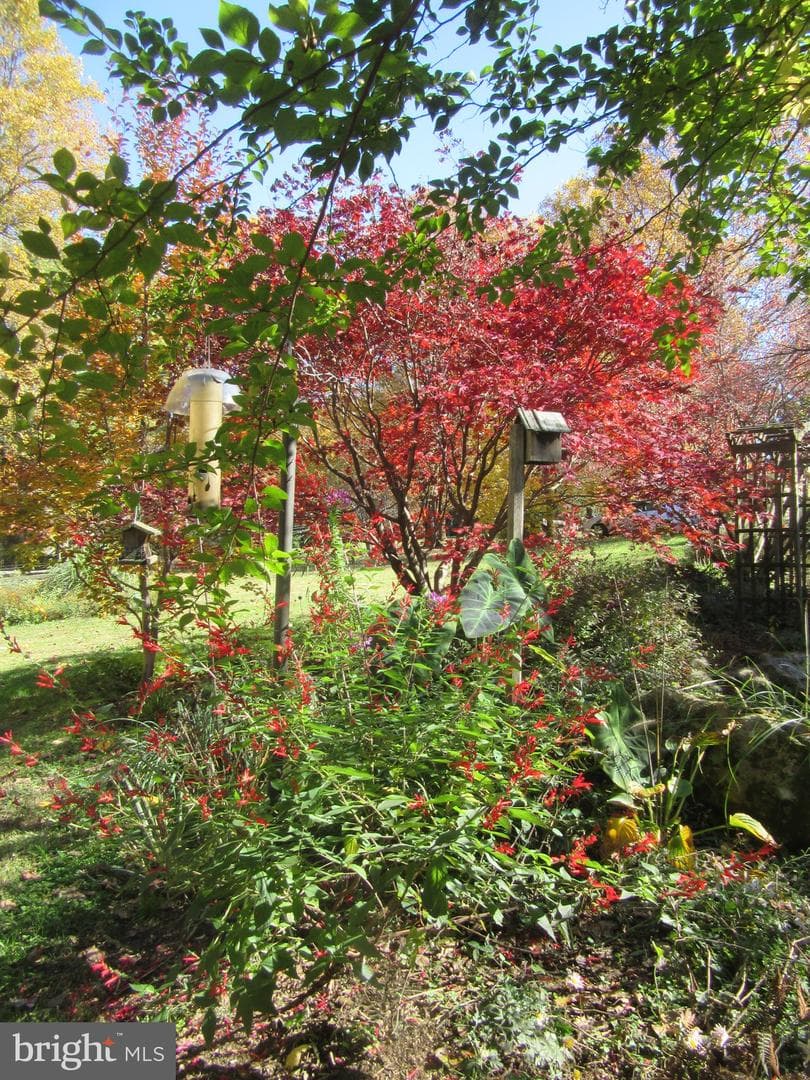 12 Phillips Lane photo 50