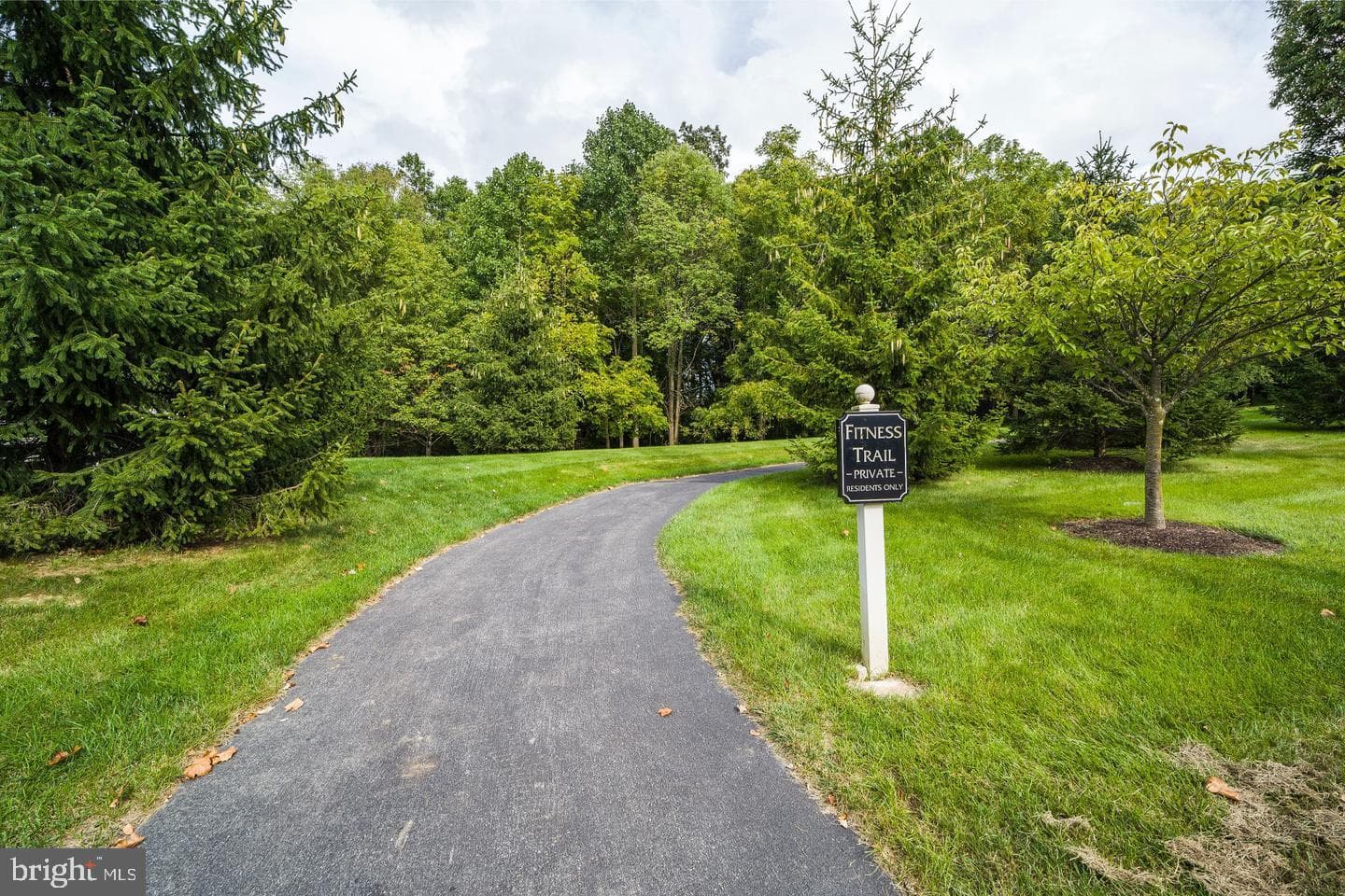11 Ashtree Lane photo 53