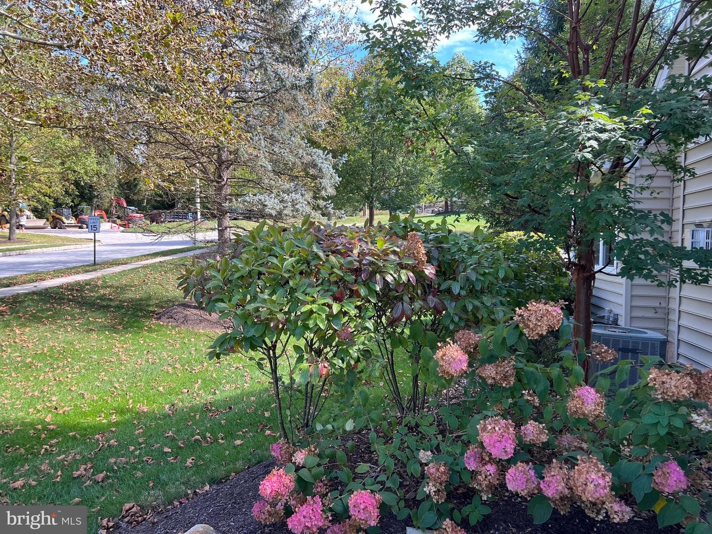 11 Ashtree Lane photo 6
