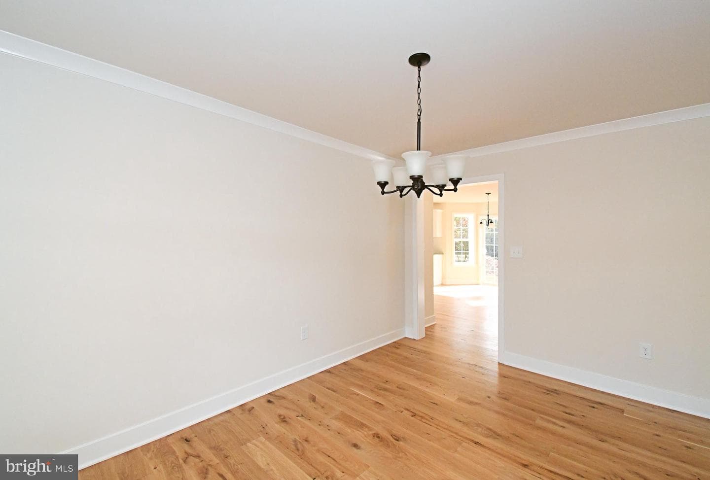 203 Pine Drive photo 10
