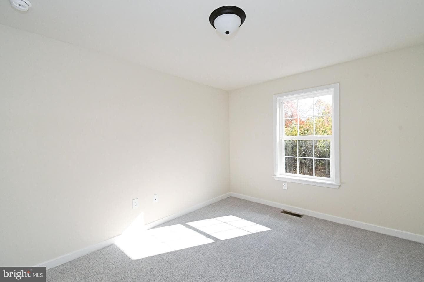203 Pine Drive photo 44