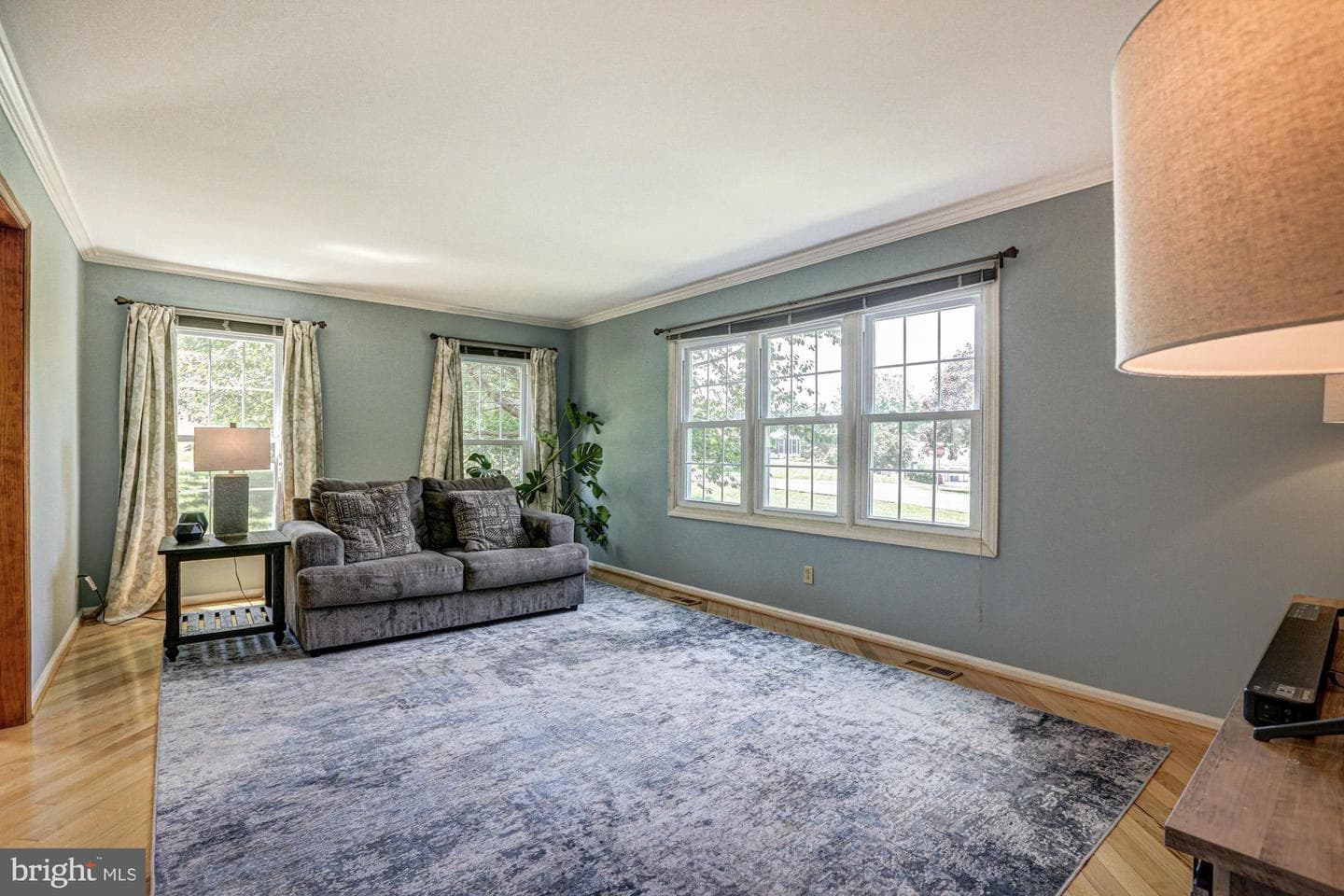 17 Nottingham Drive photo 19