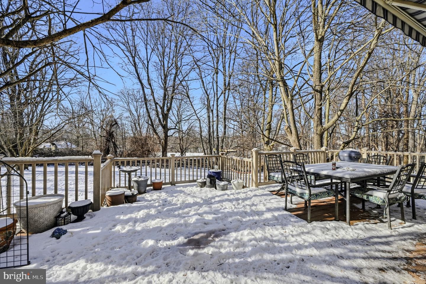 5 Roosevelt Way photo 41