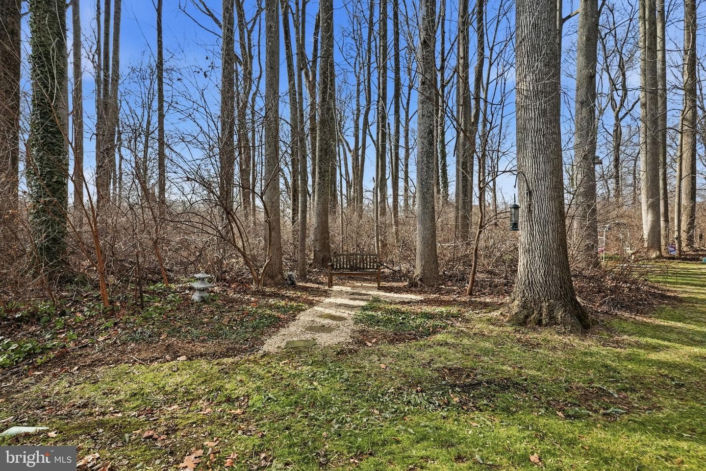 1703 Stoneham Drive #1703 photo 62