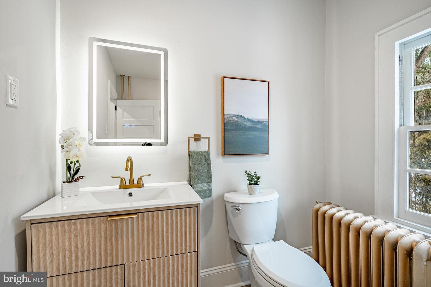 6 Belmar Street photo 21