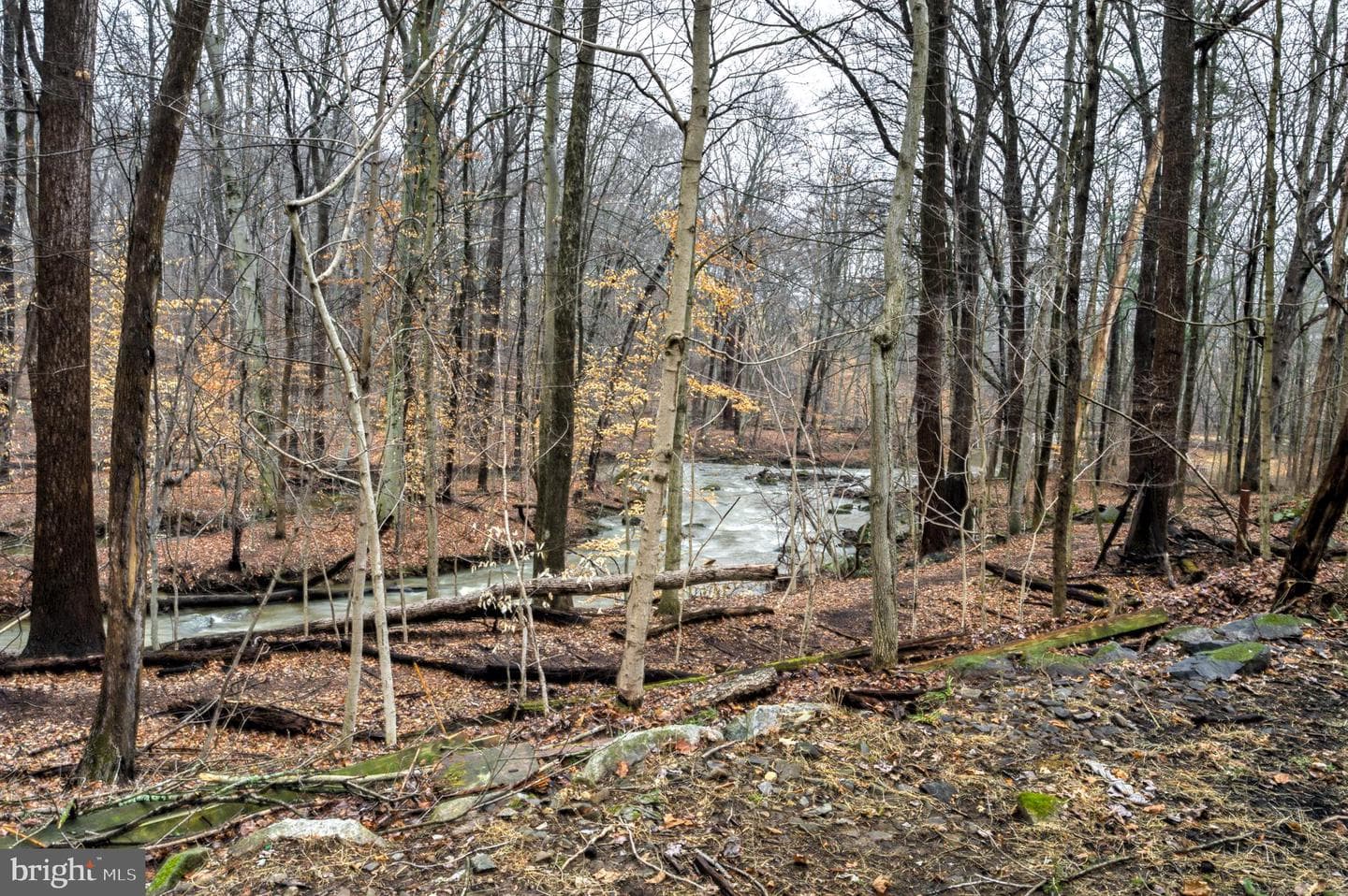 1831 Creek Road photo 3