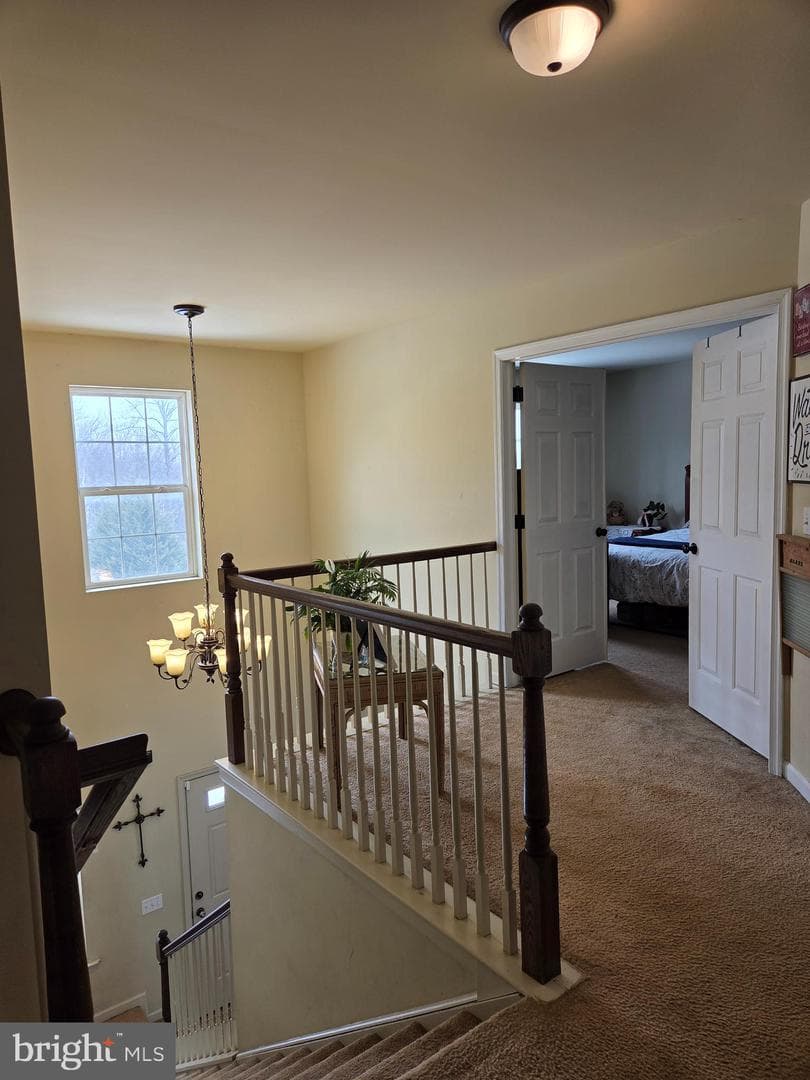119 Burgundy Lane photo 14
