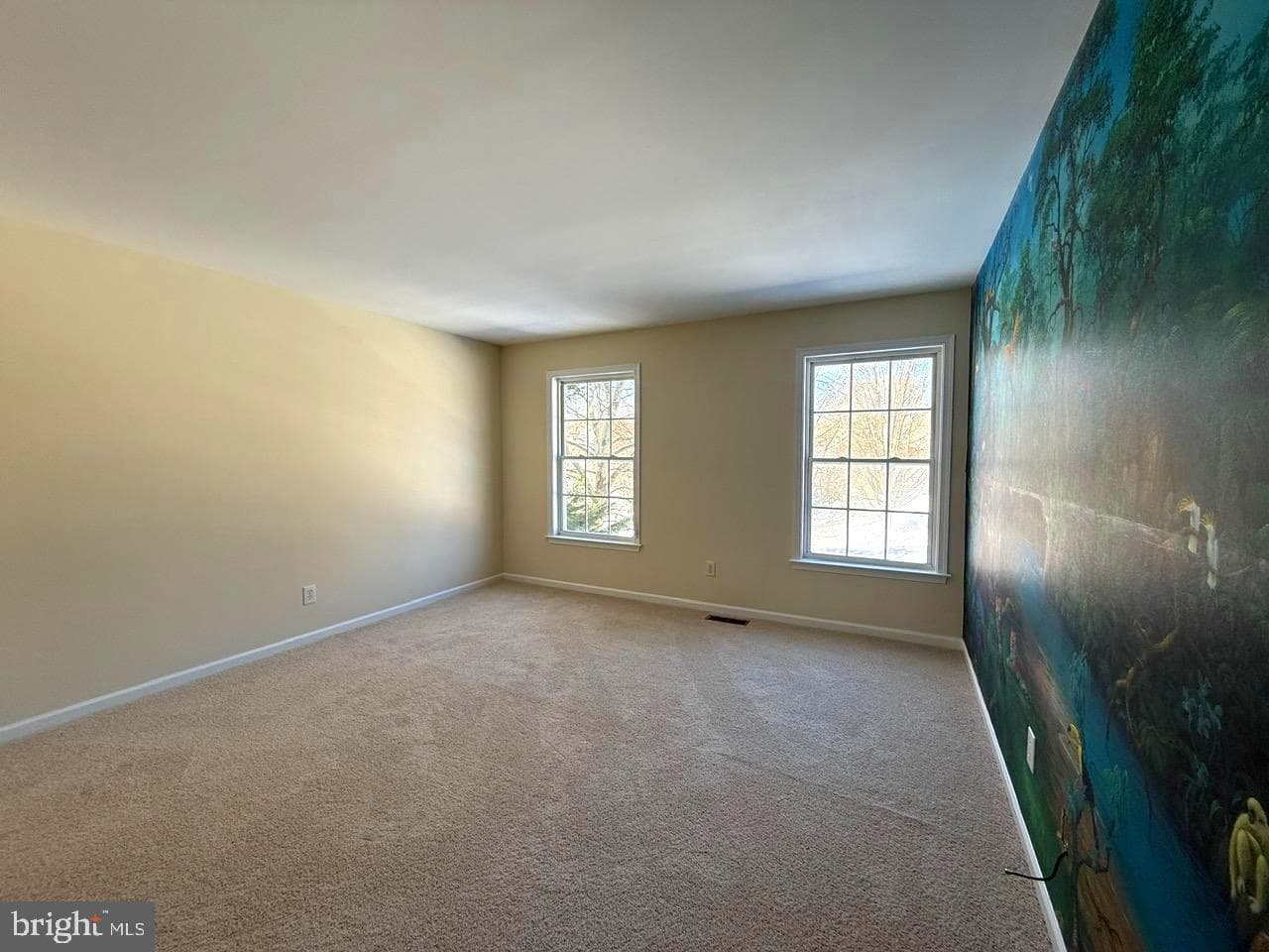 27 Mccormick Way photo 48