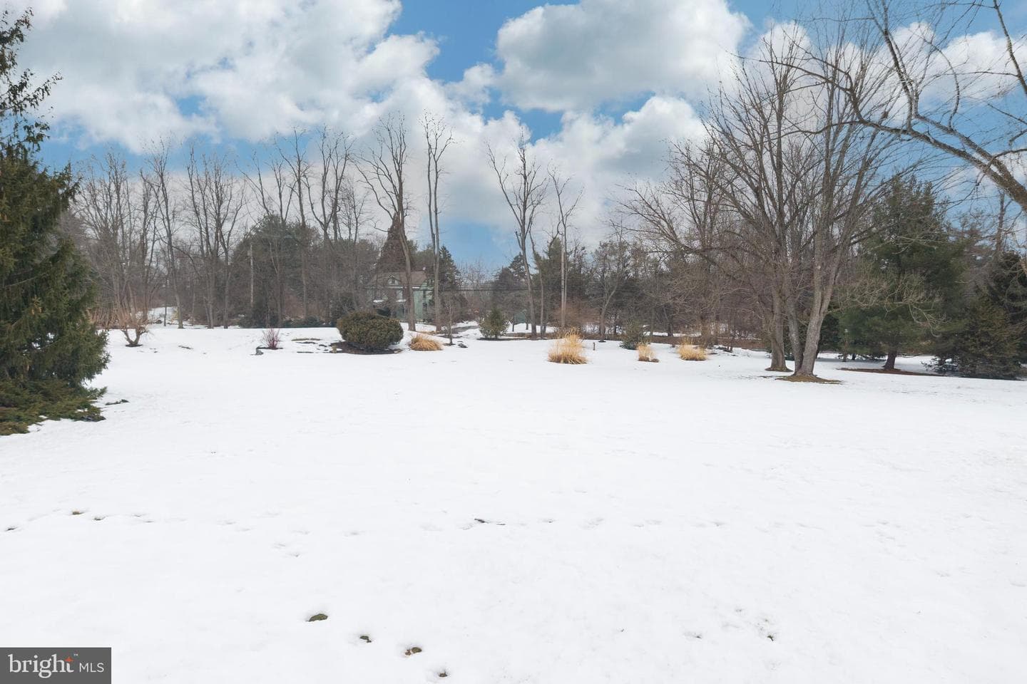 21 Lexington Manor photo 24