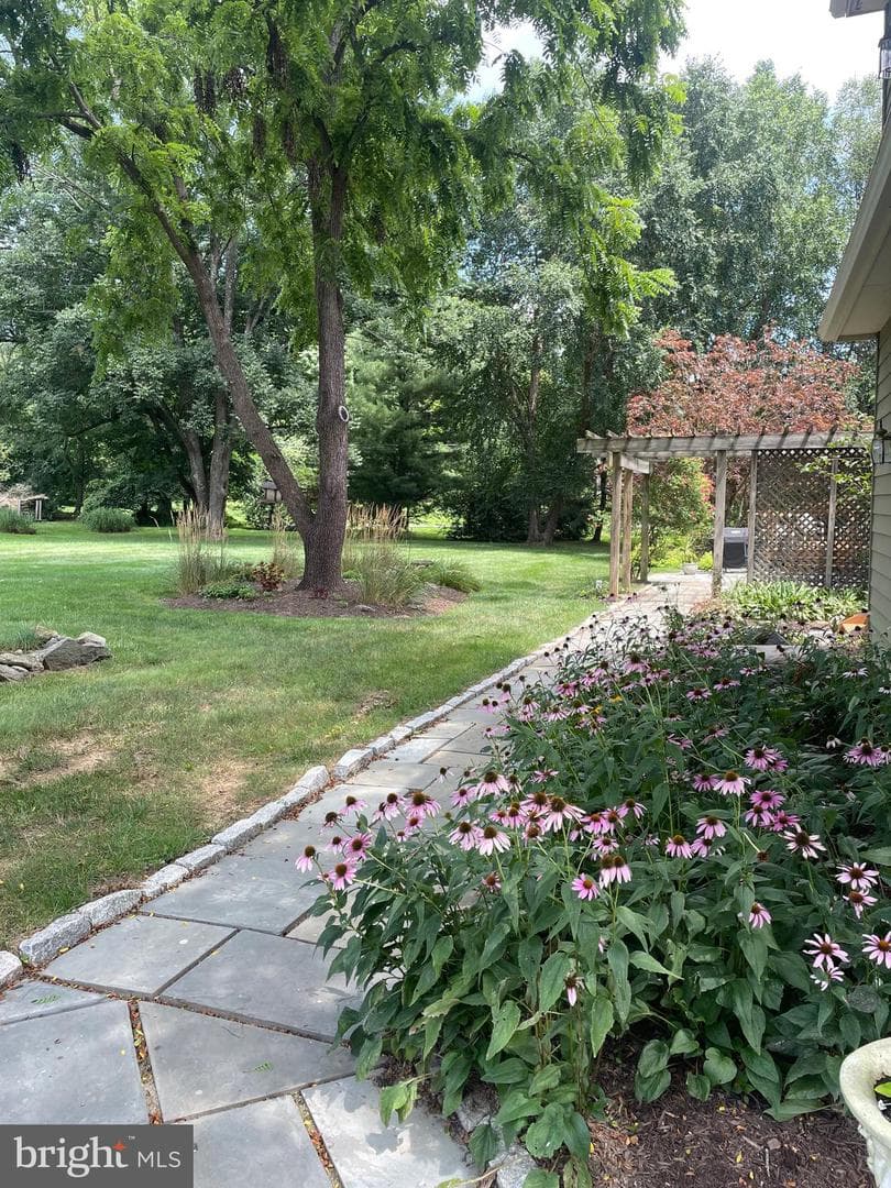 21 Lexington Manor photo 71