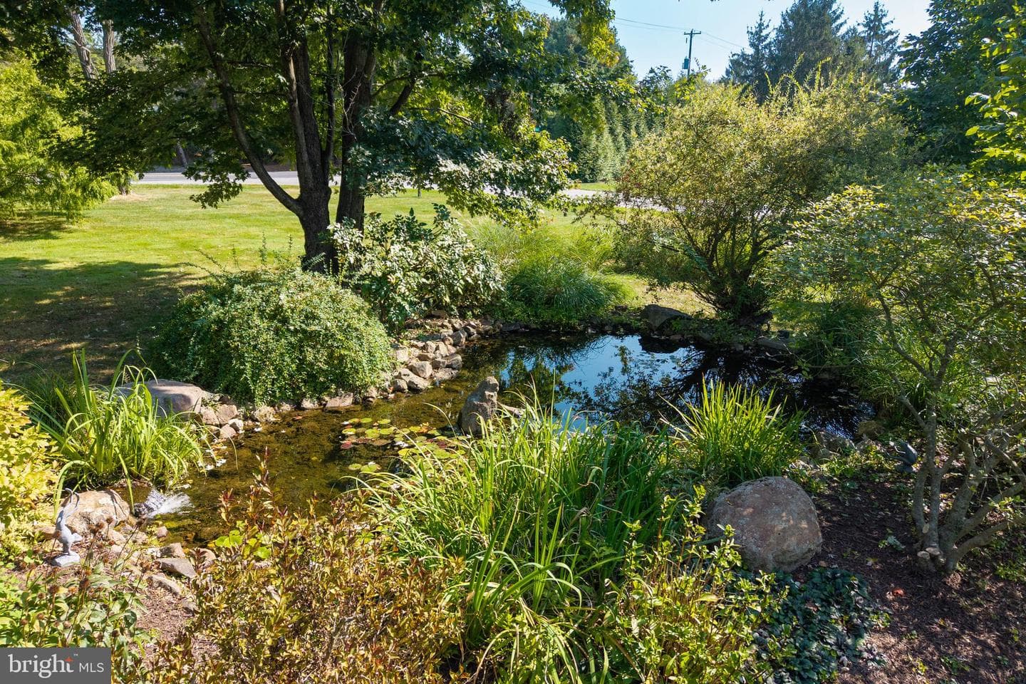 21 Lexington Manor photo 9