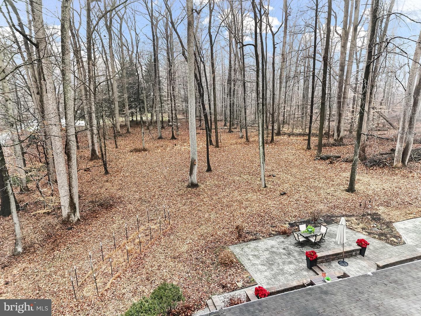 535 Webb Road photo 43