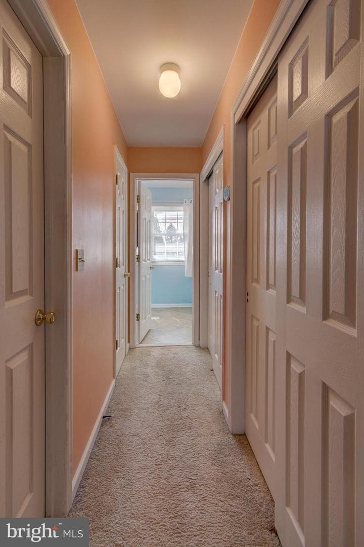 19 Ponds End Drive photo 31