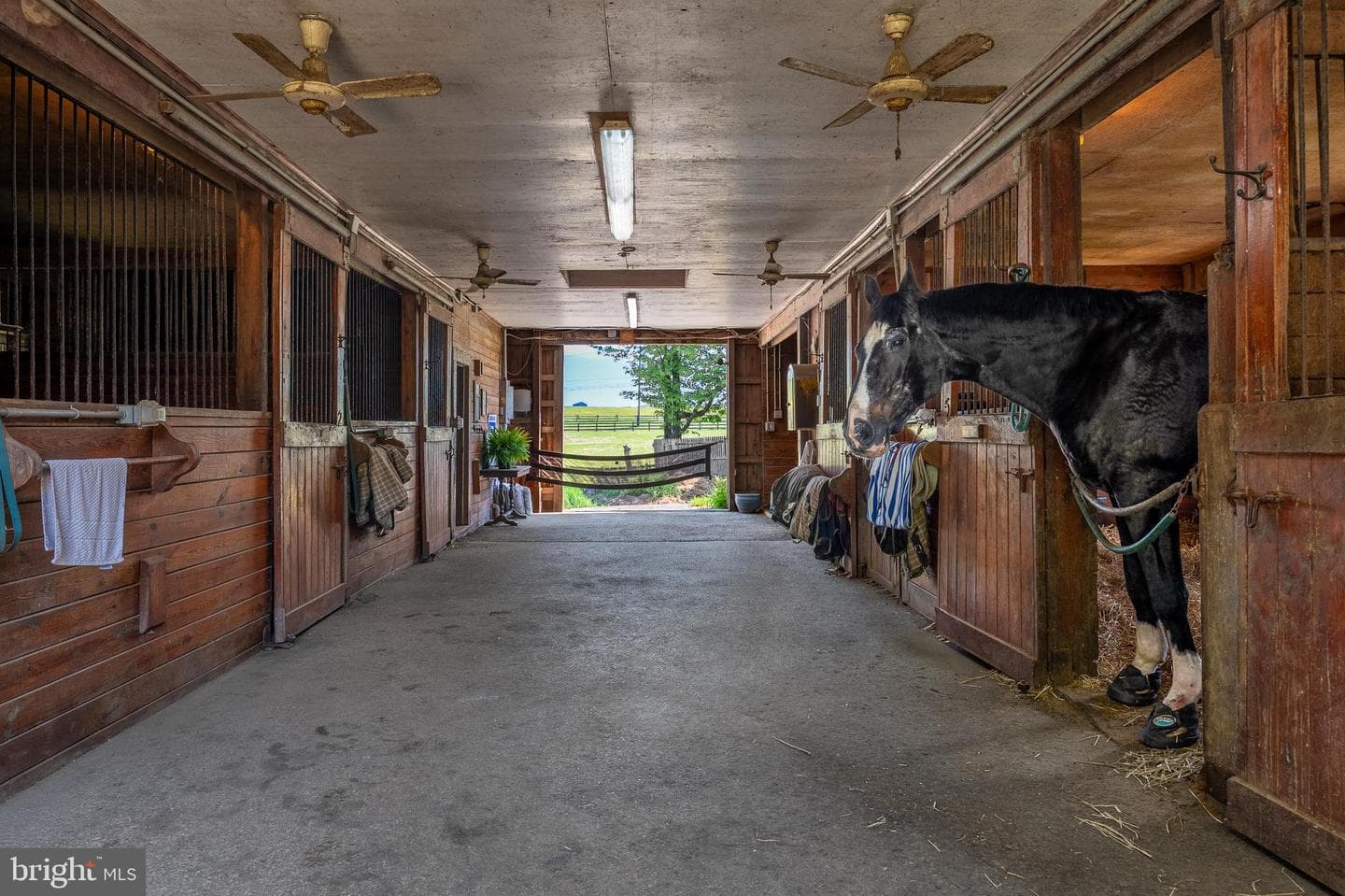 1105 Green Lane Road photo 4