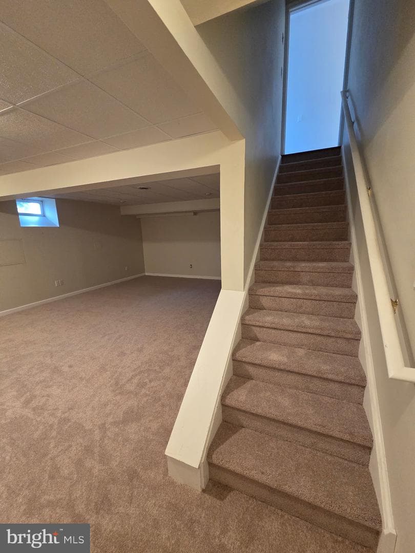 101 Dylan Circle photo 14
