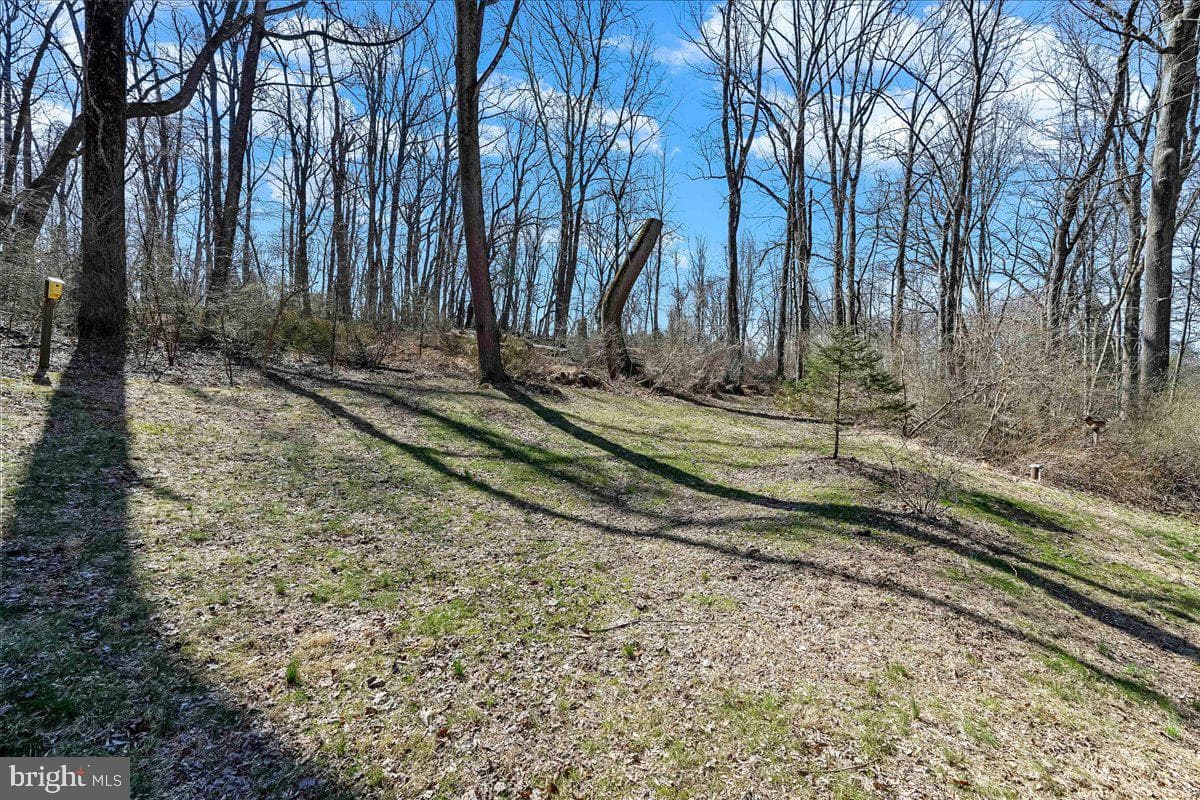 1850 Brooks Road photo 51