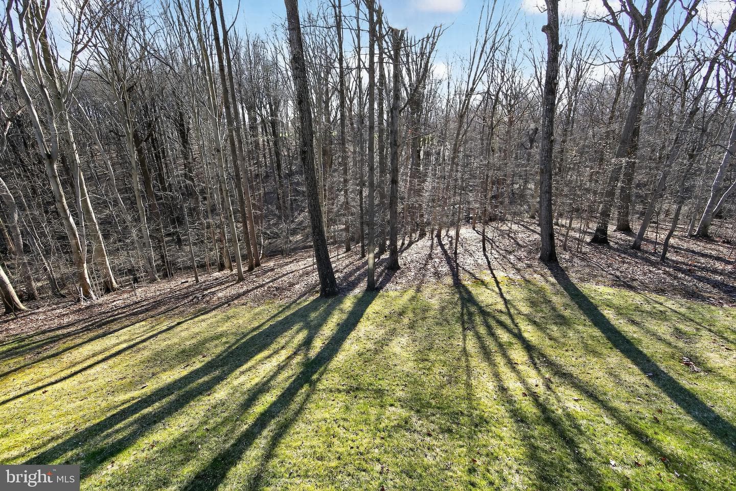 1311 Richmond Place photo 53