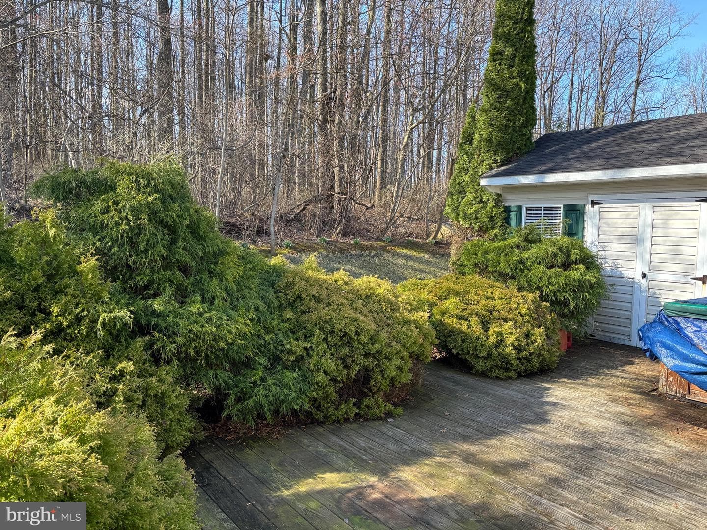 611 Farmland Way photo 32