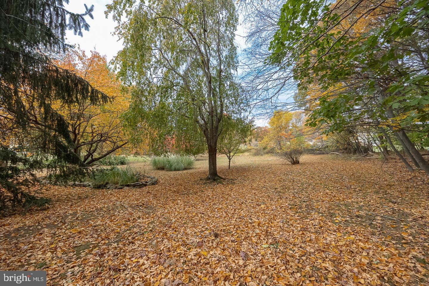1307 Jaine Lane photo 37