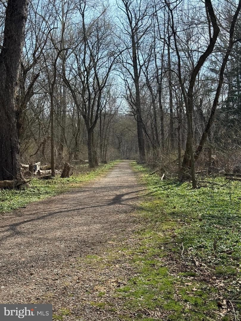 1206 Rollins Alley photo 50