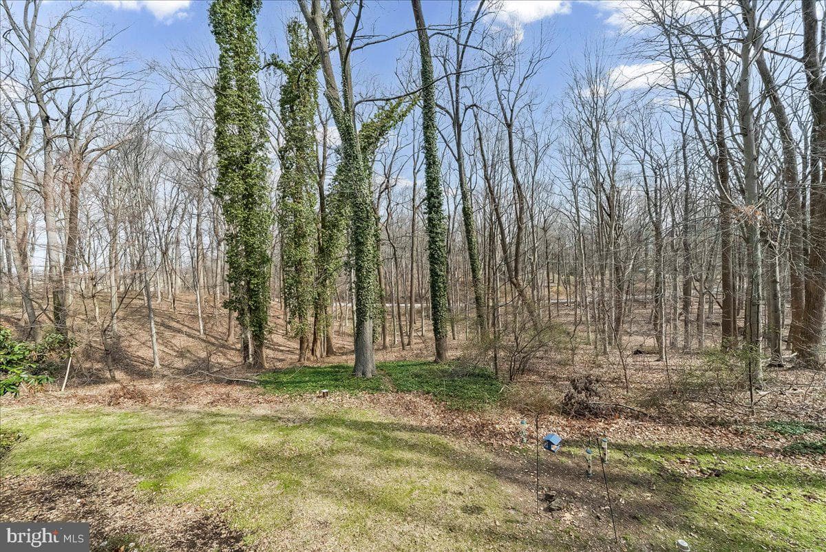 9 Adams Way photo 32