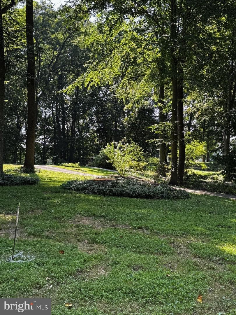 9 Adams Way photo 37