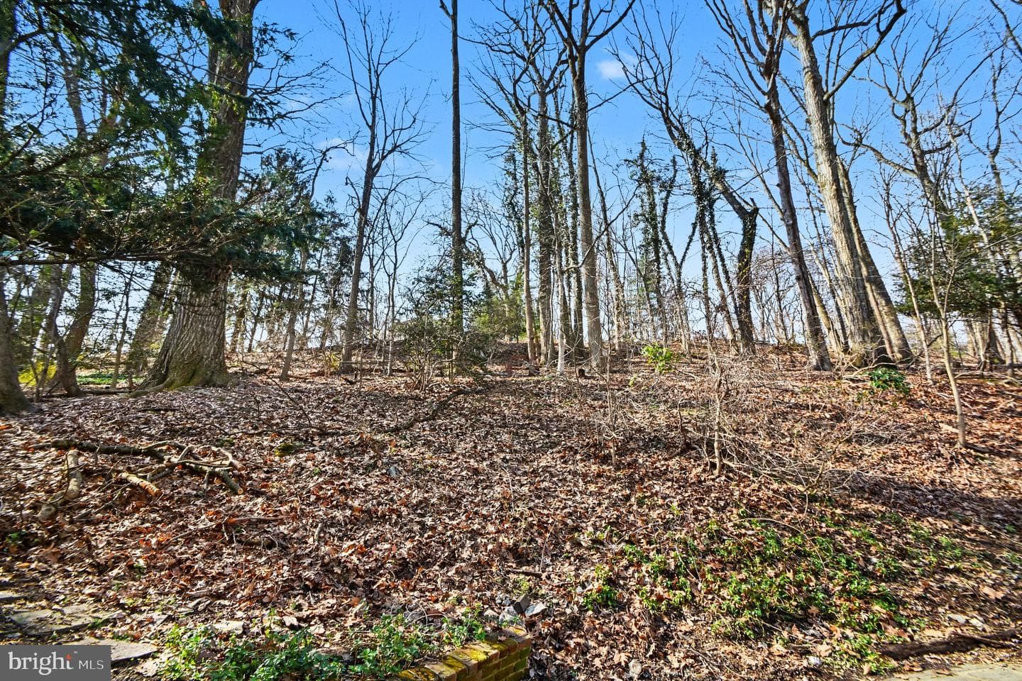 542 Upper Weadley Road photo 45