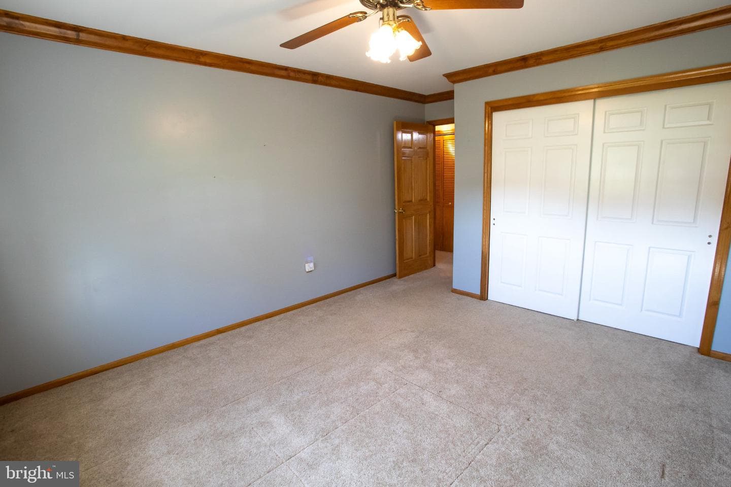 42 Eleanor Drive photo 46