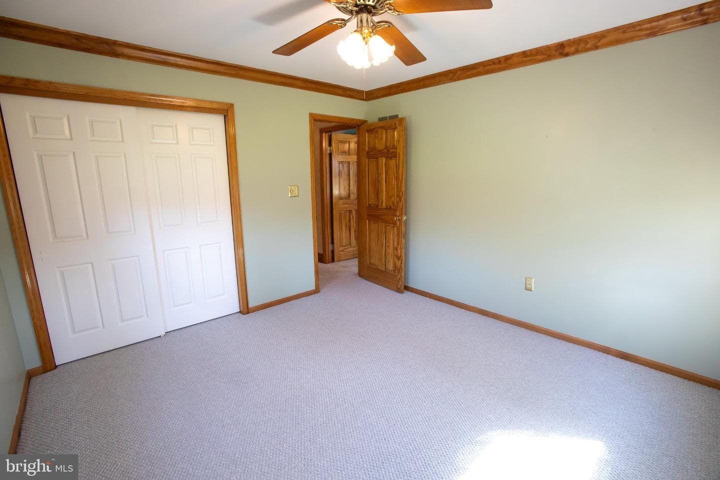 42 Eleanor Drive photo 48