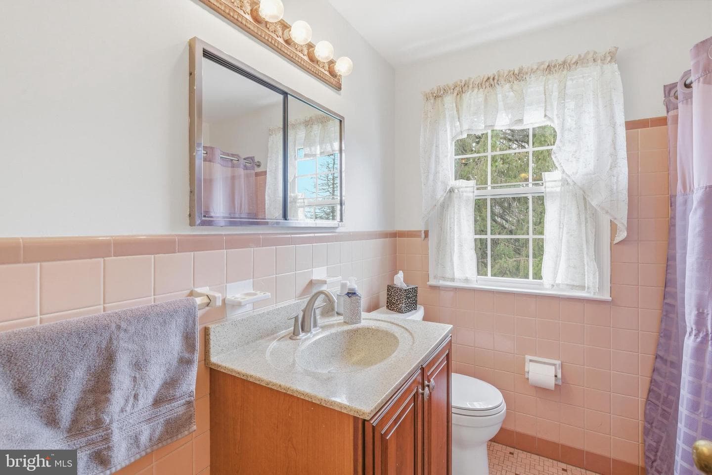 329 Devonshire Road photo 21