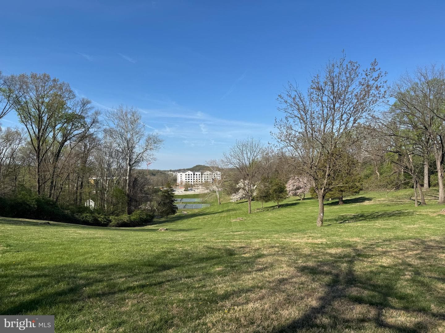 506 Cliff Lane photo 51