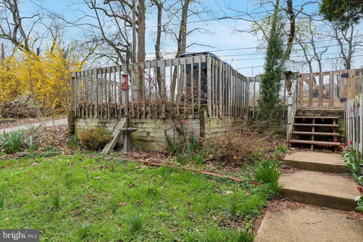 25 Woodbine Avenue photo 21