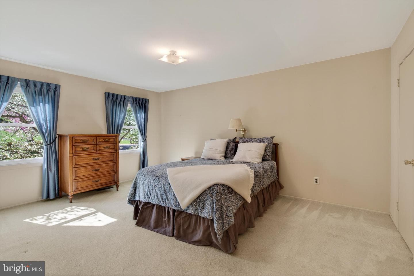 607 Spring Line Drive photo 24