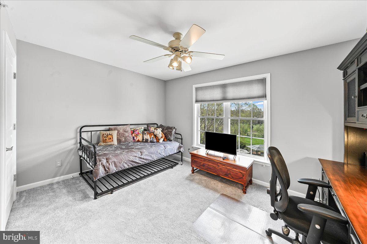26 Saddlebrook Lane photo 43