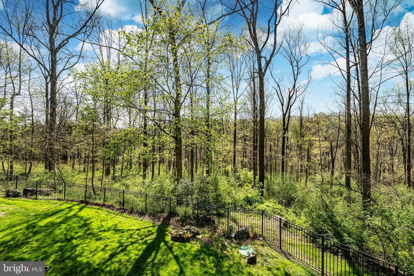 835 County Park Road photo 34
