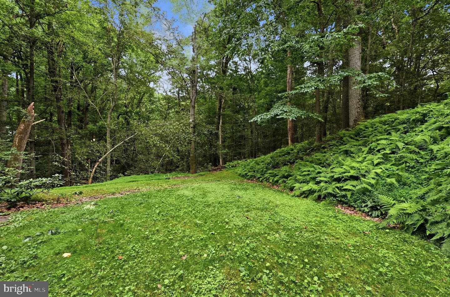 1672 Suzanne Drive photo 33