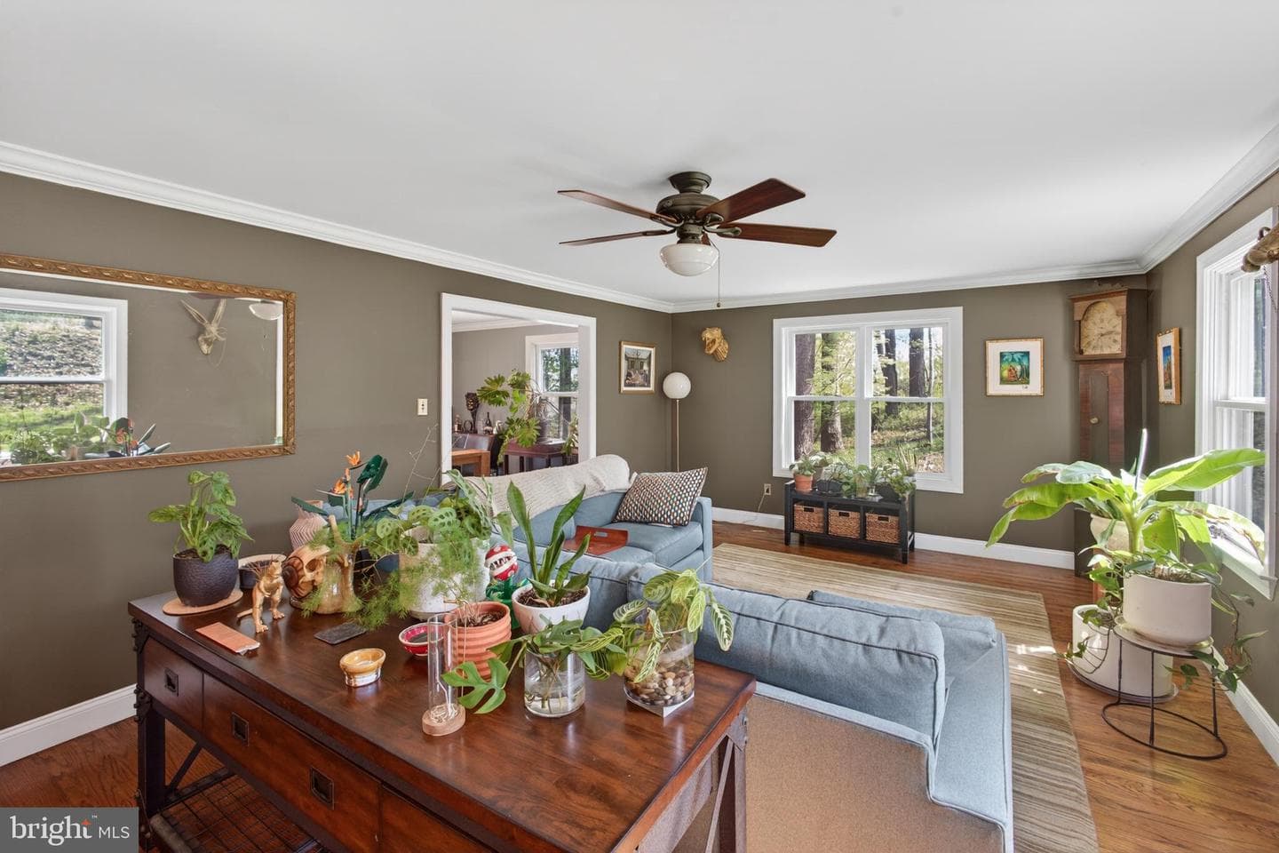 21 Pine Drive photo 9