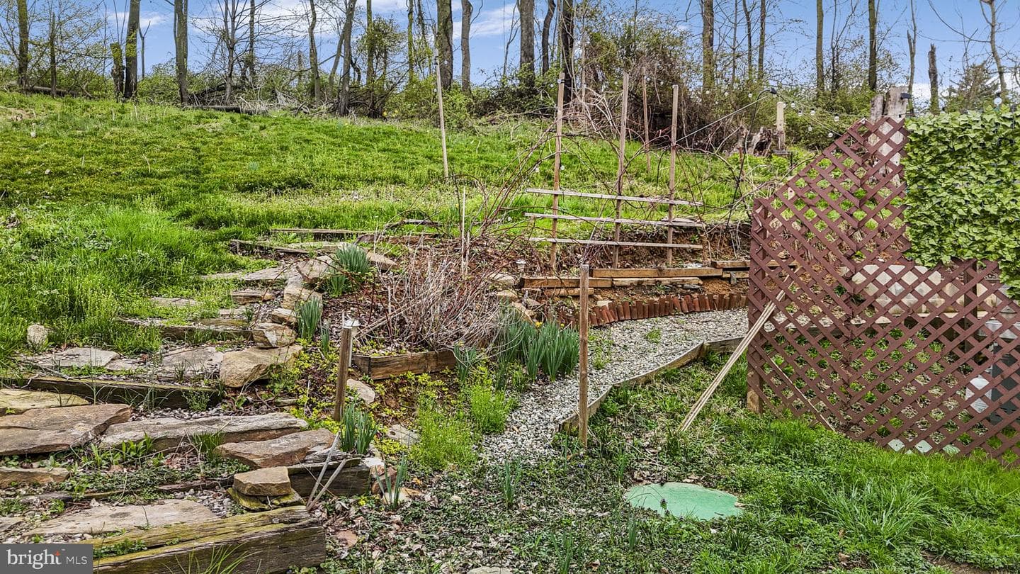 102 Paschall Mill Road photo 6
