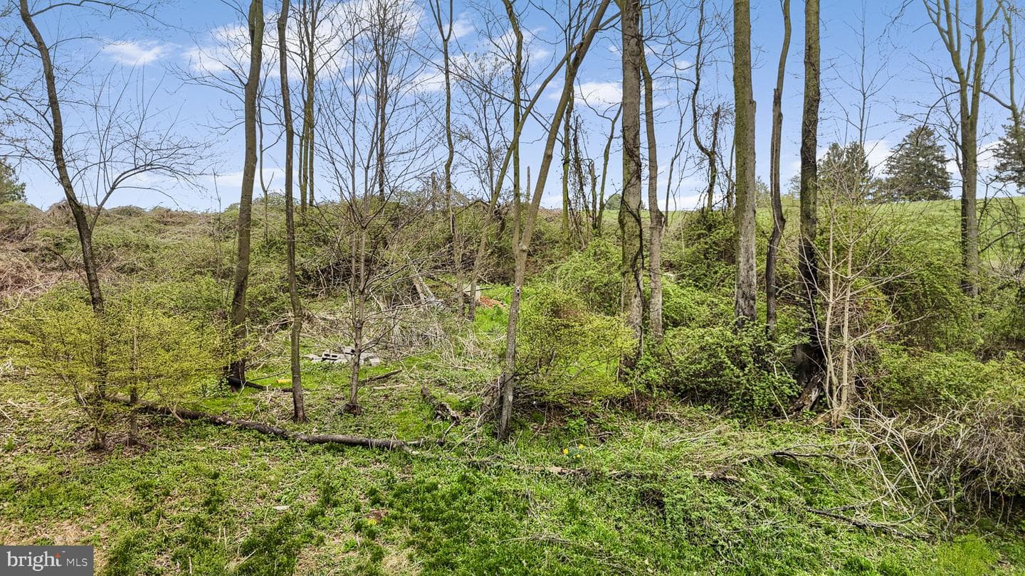 102 Paschall Mill Road photo 8