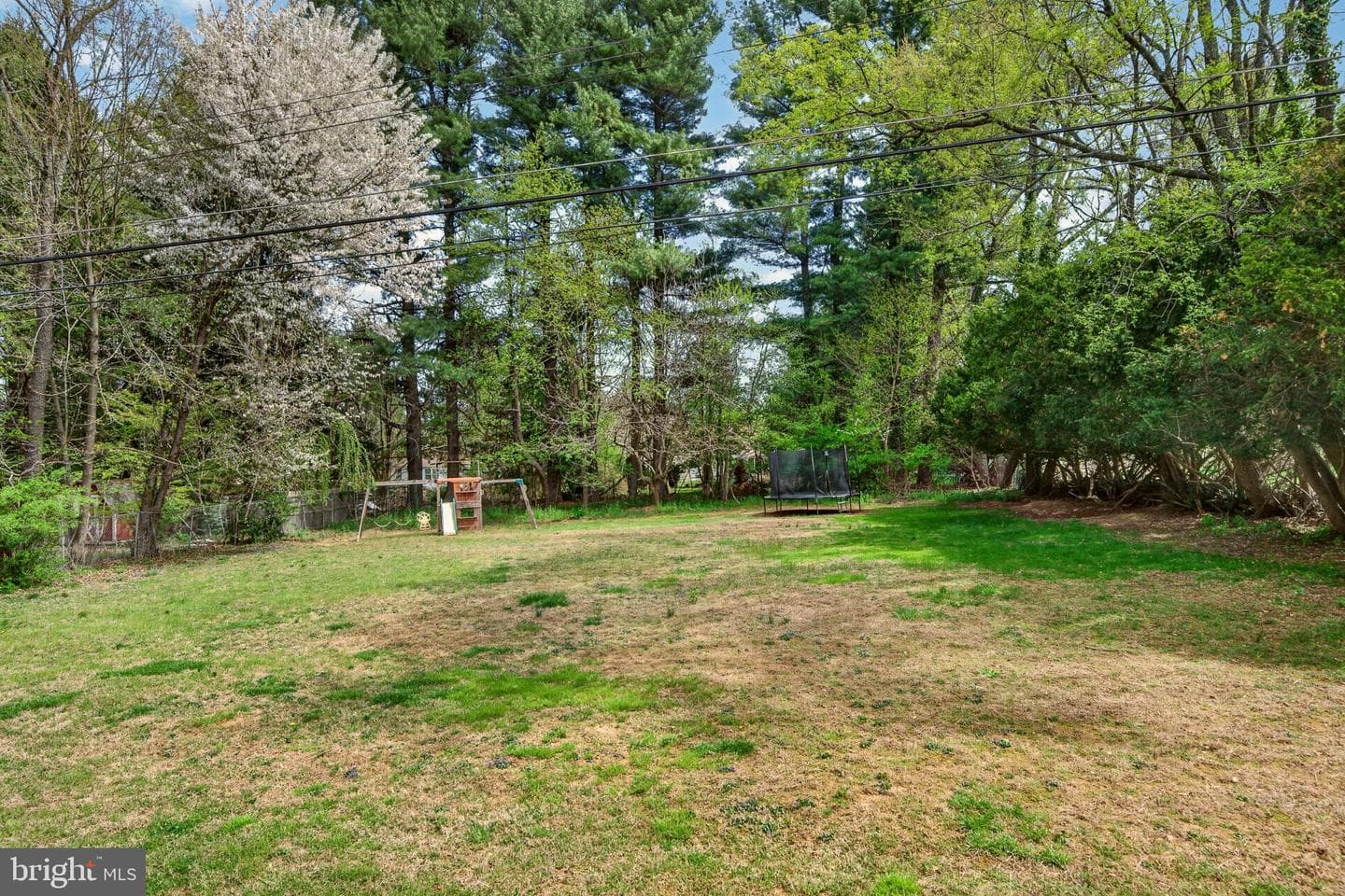 1119 Carolina photo 34