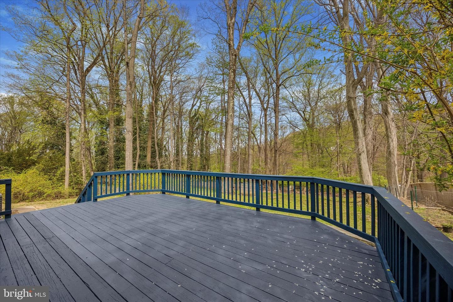 699 W Valley Road photo 4
