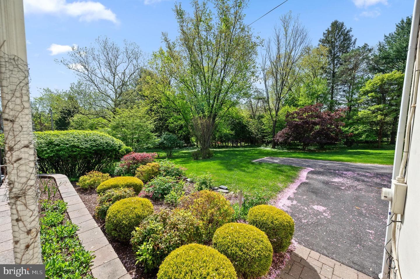 1141 Wisteria Drive photo 8