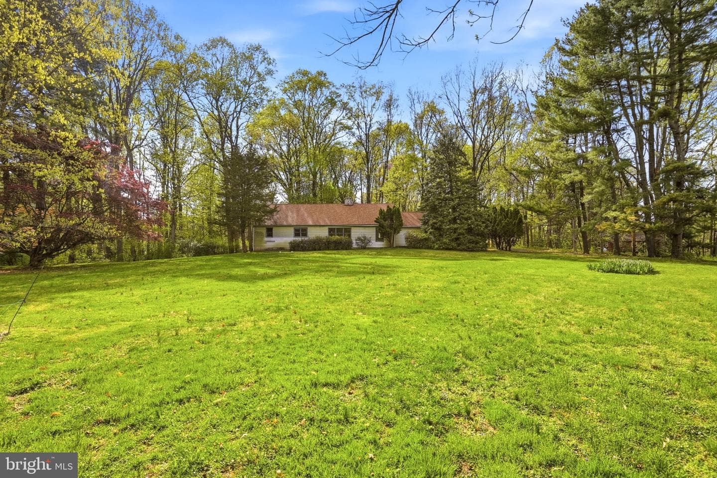 731 Brintons Wood Road photo 55