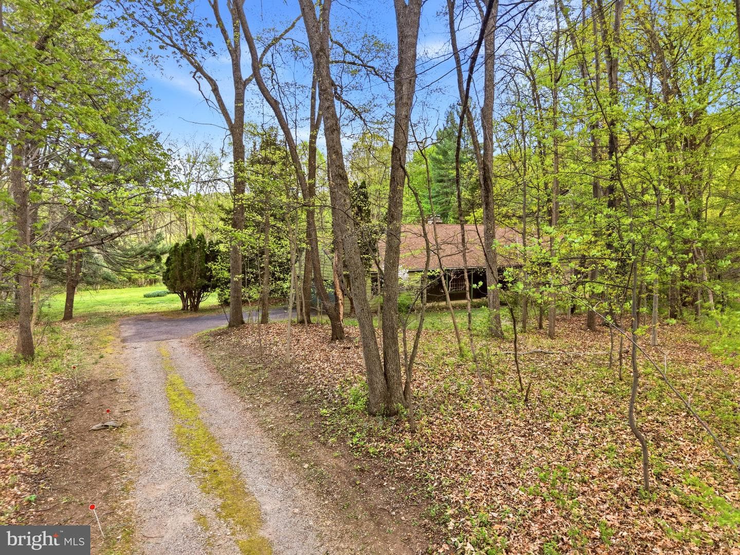 731 Brintons Wood Road photo 64
